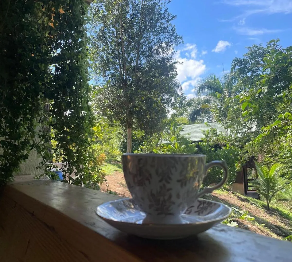 In Jarabacoa Villa Candita Dağ evi